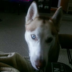 Meet your Posher, Katelyn